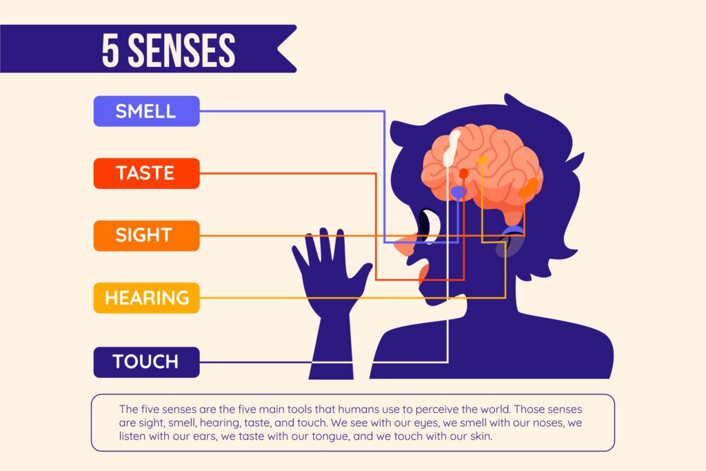 Infographic displaying different cognitive domains trained by CogniFit, including memory, attention, perception, processing speed, and reasoning.